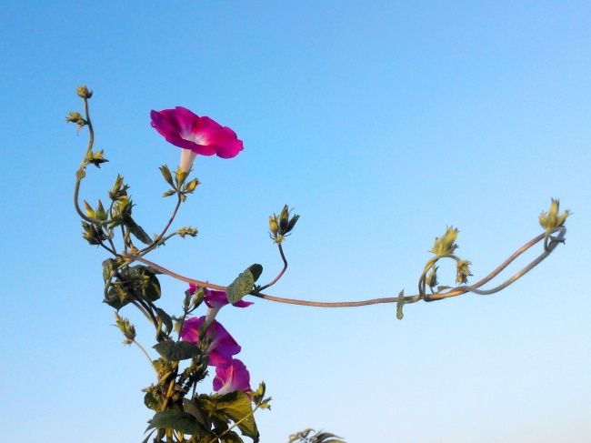 出生日的命运：5月19日生日性格解析