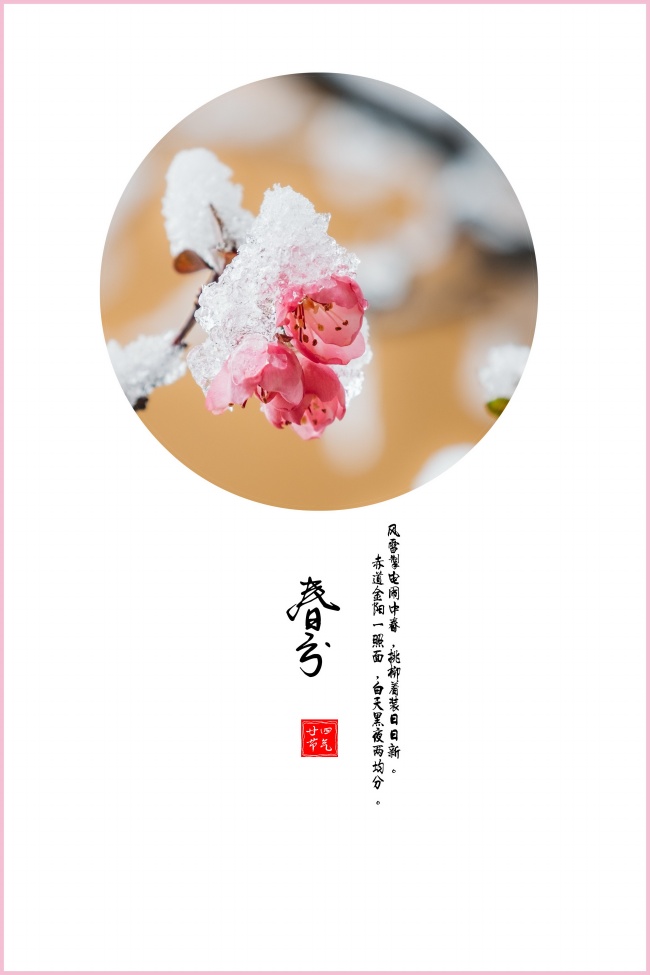 元旦就算整天宅家里 也是邀约不断的星座