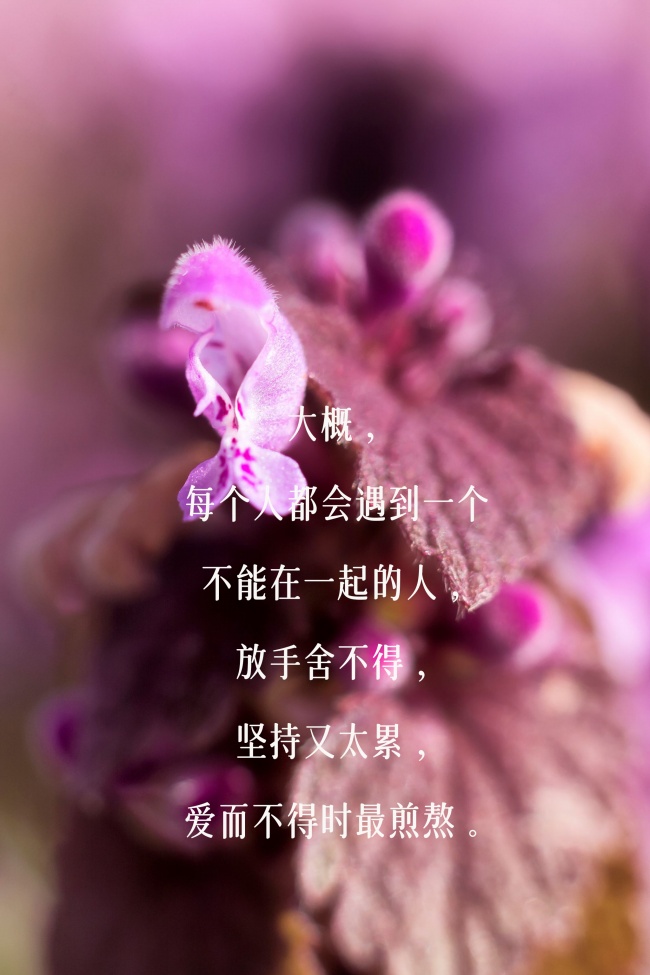 三八 最爱嚼舌根子的三大生肖男