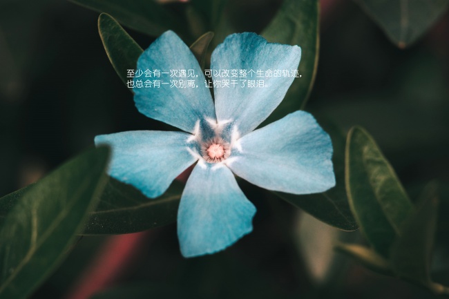2022旺夫发财星座女命好 长相普通能聚财