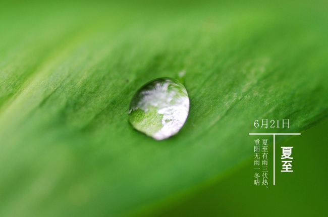 2022年春节感情运增强的4大星座 你有幸上榜吗