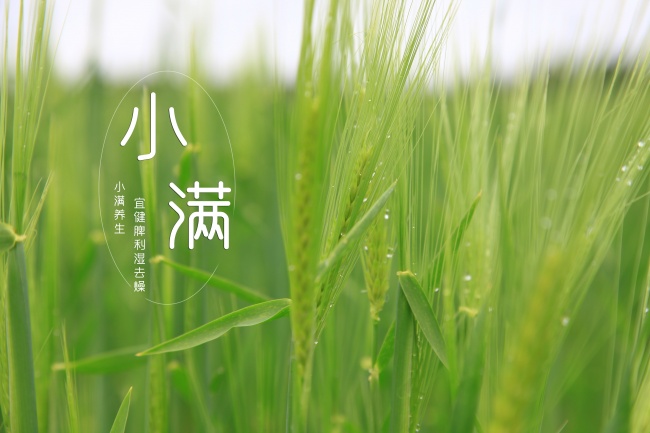 真幼稚 越爱你越爱怼你的生肖男