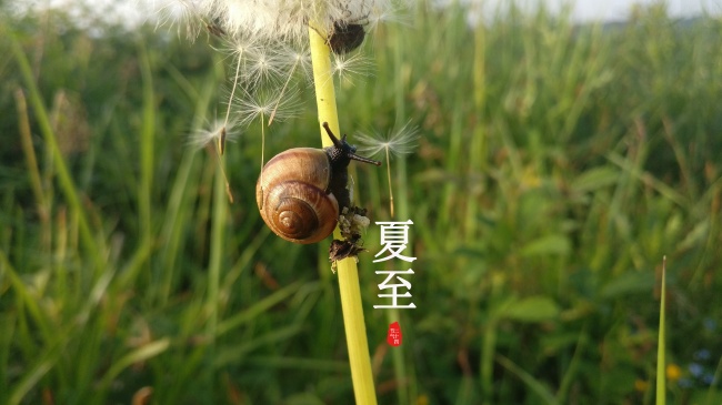爱占小便宜 事后还沾沾自喜的生肖