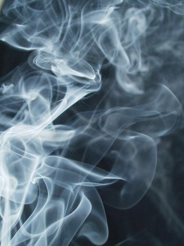 他人几句好话就被灌了迷魂汤的生肖