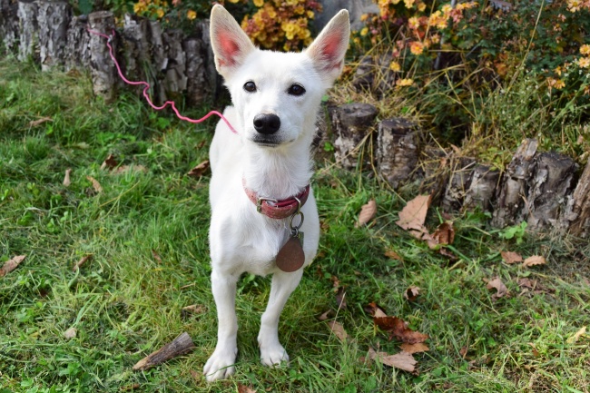 挣钱最厉害的生肖男 最能挣钱的3个生肖男