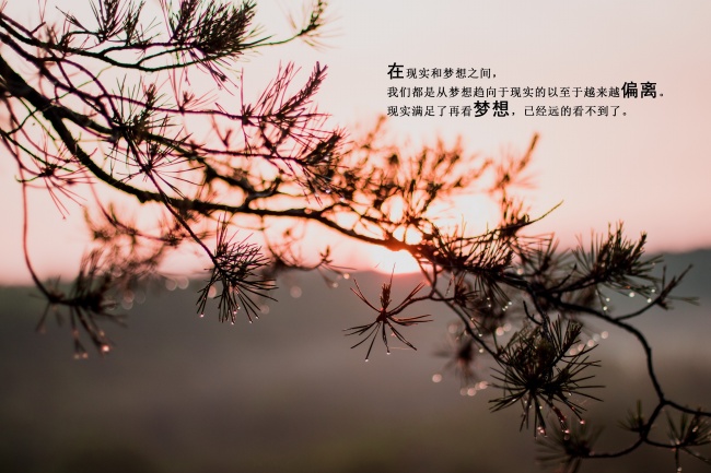 11月下旬 单身与否都会遭遇烂桃花的3星座