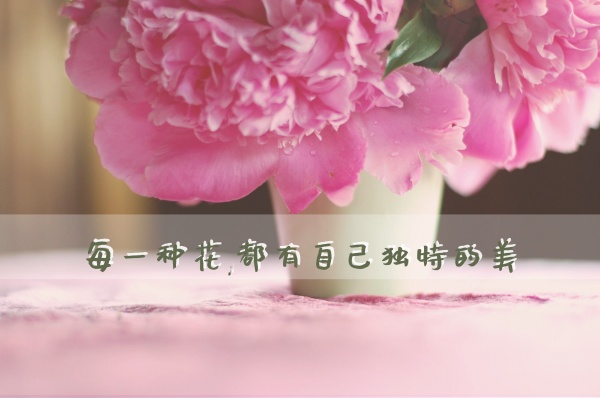 姓和女孩好听的名字大全 寓意美好的