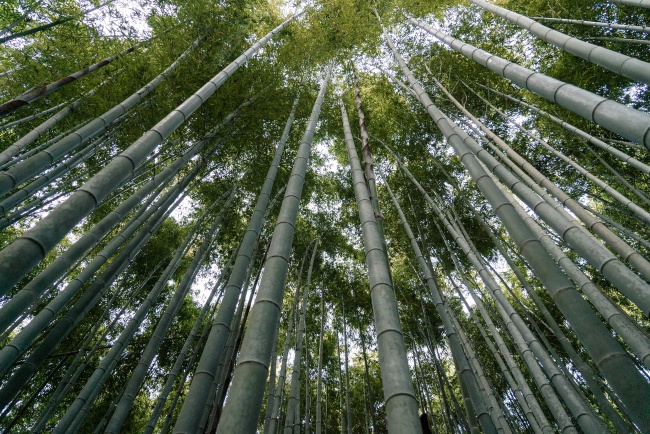 建筑装饰公司名字