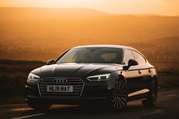 [今日运势]属龙运势