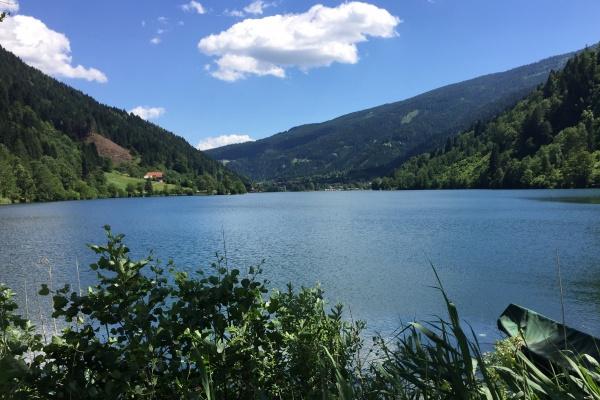 属龙的和属狗的属相相配吗 婚姻需要注意什么