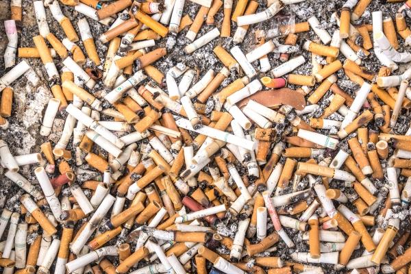 [今日运势]属鼠运势