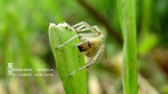 水瓶座2023年元宵节财神最佳方位 其他提升财运措施