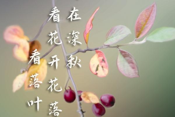 你的爱情快到了吗?超准测你的真命天子何时出现!