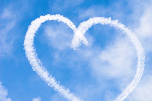 [今日运势]属猪运势