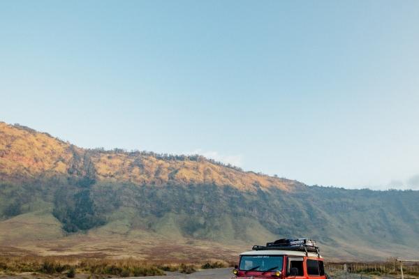 属猴的家里养什么植物最好,家中适合养什么植物