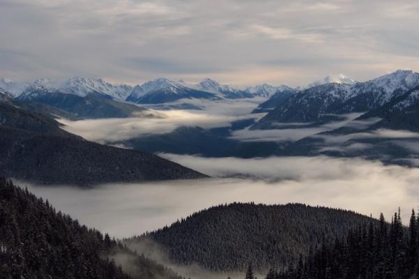 杨清华 十二生肖一周运势1.30-2.5