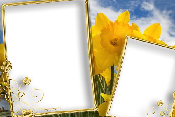 [今日运势]属兔运势