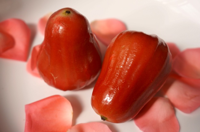 白马怕青牛,羊鼠一旦休金鸡怕玉犬