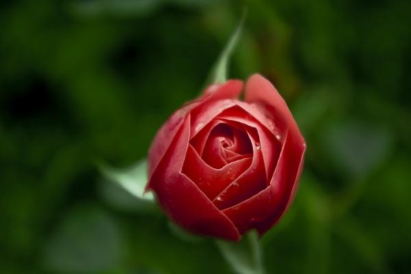 1987年属兔2024年害太岁要佩戴什么,87年37岁生肖兔逢龙年运势如何