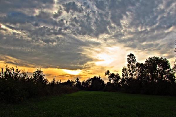 [今日运势]属鼠运势