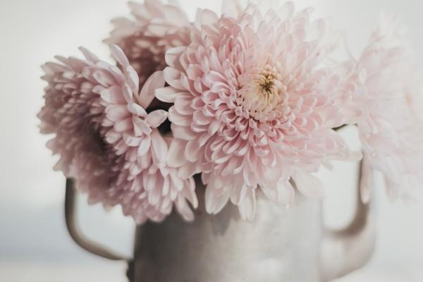 2023年财运最好的人 兔年财运最佳生肖排名前三