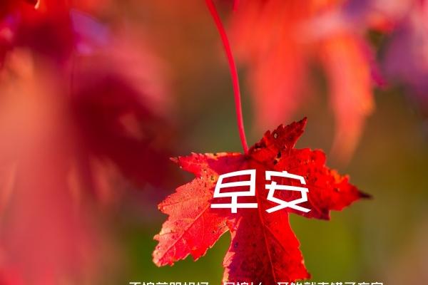 [今日运势]属牛运势
