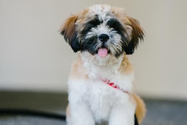 找对象就该找他们!这3星座对爱情格外痴心，一辈子就认定一人