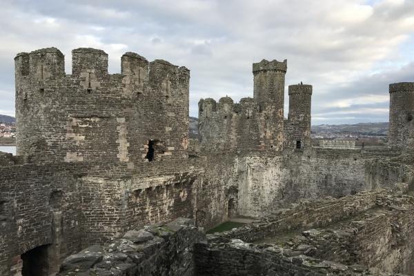 2024年属龙人全年运势如何 财运收入增加