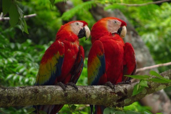 运气很好的生肖女 上天善待收获颇丰