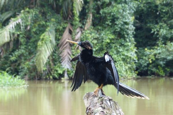 餐饮公司起名寓意好的字 好听有内涵的公司名字