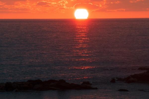 2023年属牛人正缘是属什么的，属牛的真爱属相是谁