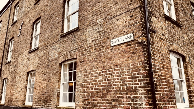 属蛇人2023会添喜事吗，有什么喜事