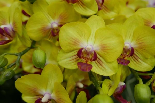 88年属龙最难熬是哪年,什么时候最艰难