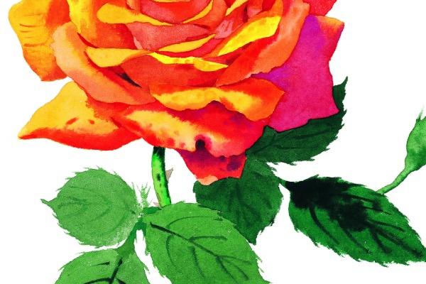 87年女兔2023年有添丁 怀孕概率高