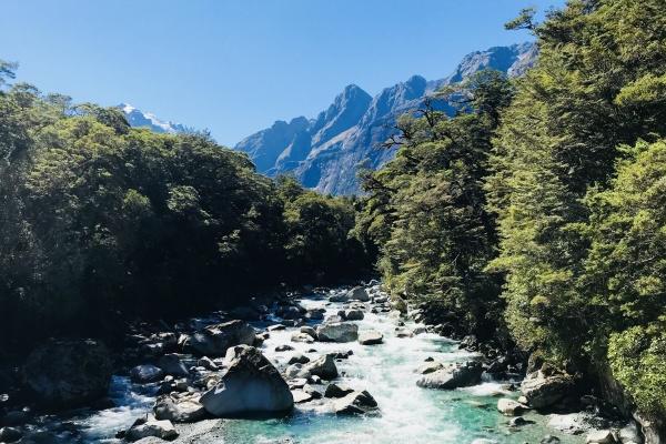 属马和属龙女相配吗 强强联合天作之合
