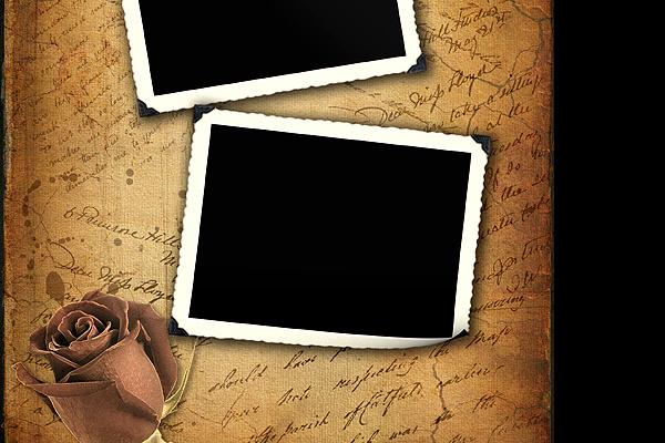 79年羊人2023年运势运程，属羊2023年运势如何