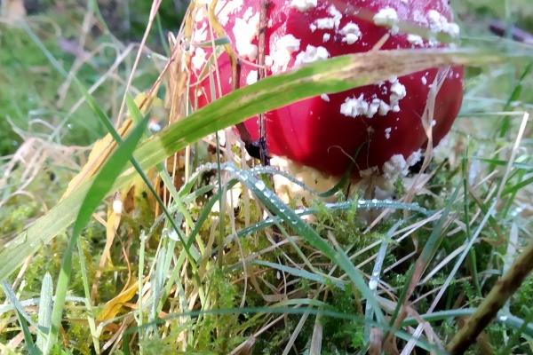 第一运程 2023年5月26日十二生肖运势解析