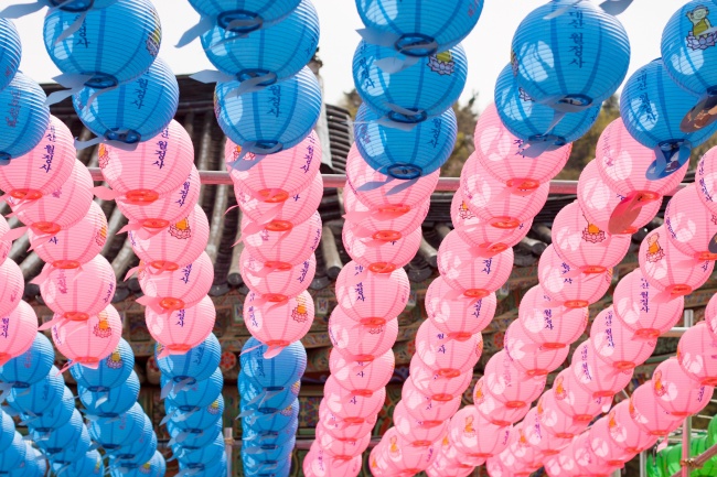 兔年是哪几年生的多少岁 生肖兔的人生命格