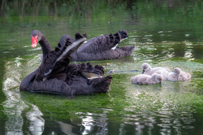 9月财运最好的生肖2023年  实现财富自由