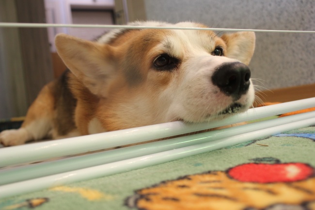 “二婚命”的3大生肖女 这辈子注定会迎来二婚