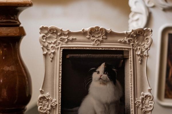 1992年属猴2023年运势女 财运会很好