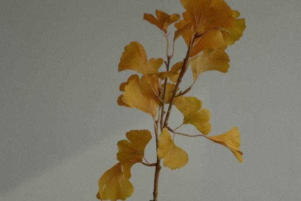 属蛇的人2023年的运势及运程 综合运势糟糕