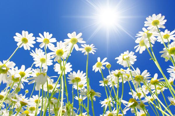 84年属鼠6个幸运数字 吉利号码是多少