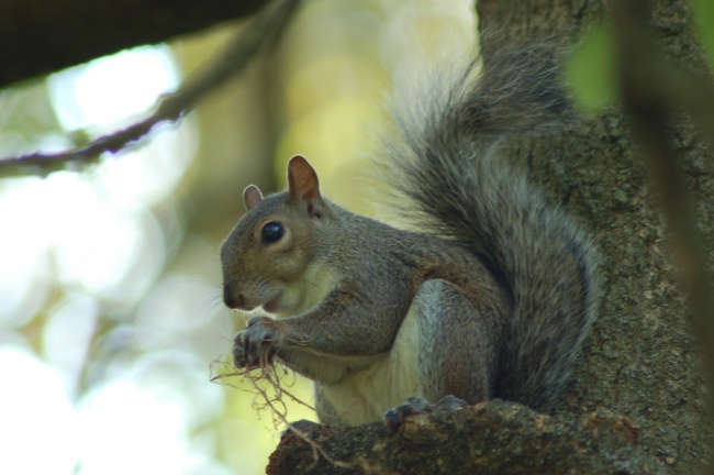 2023年姻缘最好生肖 人人都羡慕