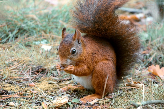 84年属鼠39岁大劫化解 怎么样才能翻身