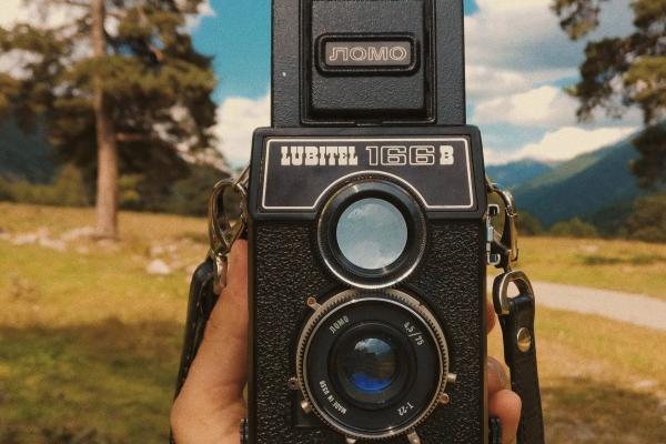 黑兔走入青龙预言 兔走入青龙谁赢了后来