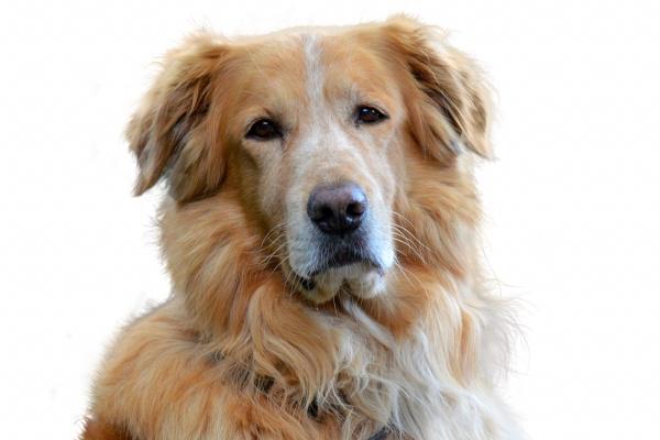 84属鼠人永远最旺的数字 发财的数字号码