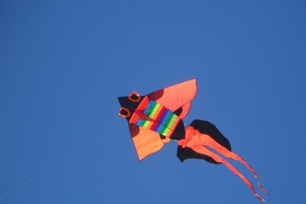 第一运程 2023年6月6日十二生肖运势解析