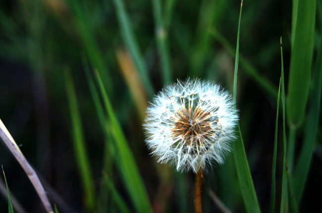 2023年魅力最大的生肖女 自信美丽光芒四射