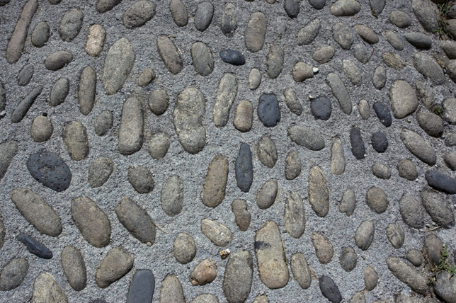 属马2023年爱情运势，属马人今年有桃花运吗